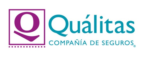 Que radios Utiliza PPT utiliza Qualitas