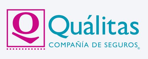 Que radios PoC o PTT Utiliza Qualitas