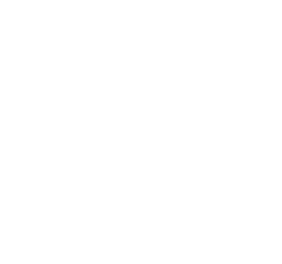 Radio comunicador ptt ideal para aseguradoras